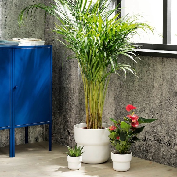 ‘made in Italy’ NWT! assorted pots 🪴🎍 grey & white unused/like new with tags - Picture 6 of 7